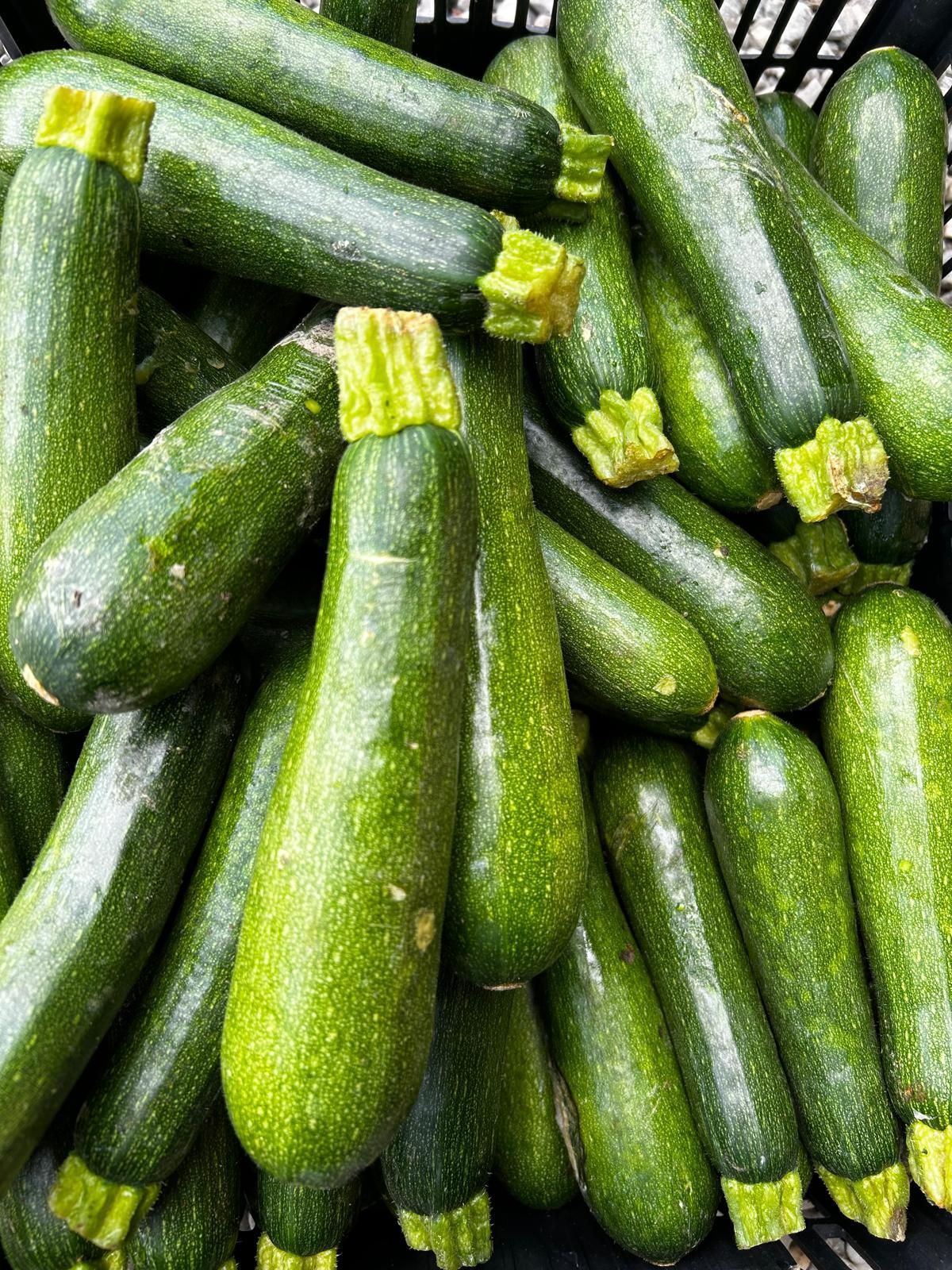 zucchine