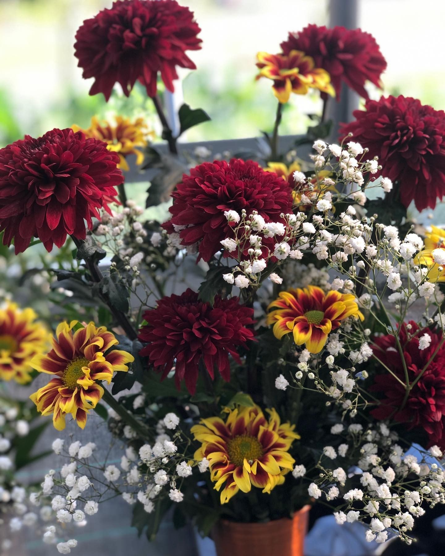 fiori e piante - foto 7