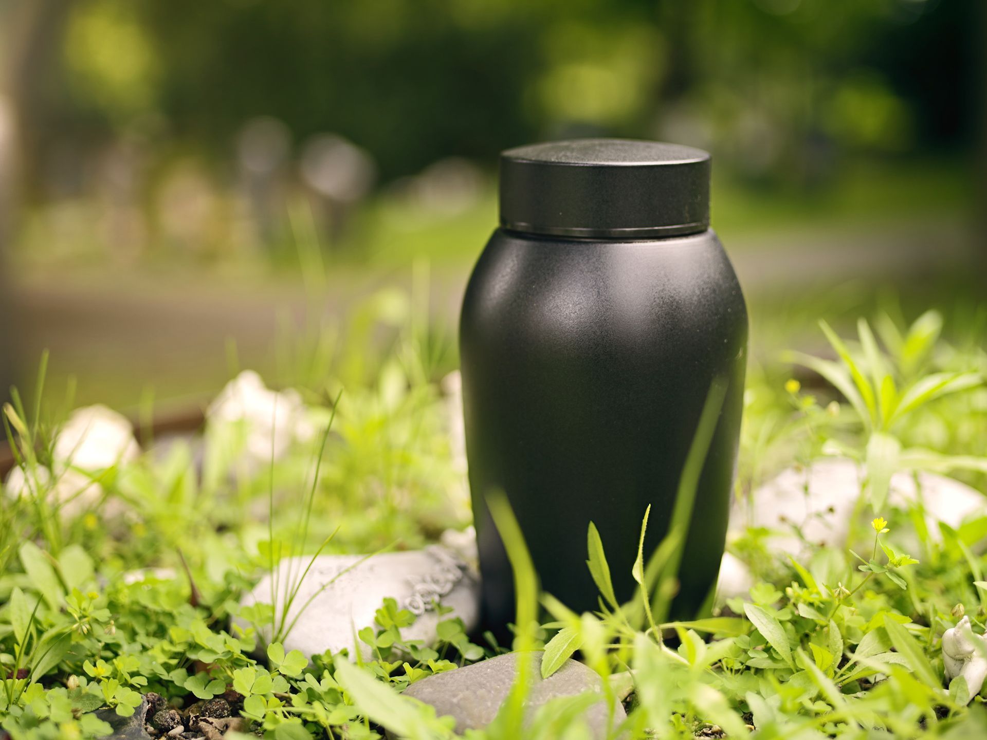 A black, lidded cylindrical jar sits nestled among light green plants and small, rounded white stones.