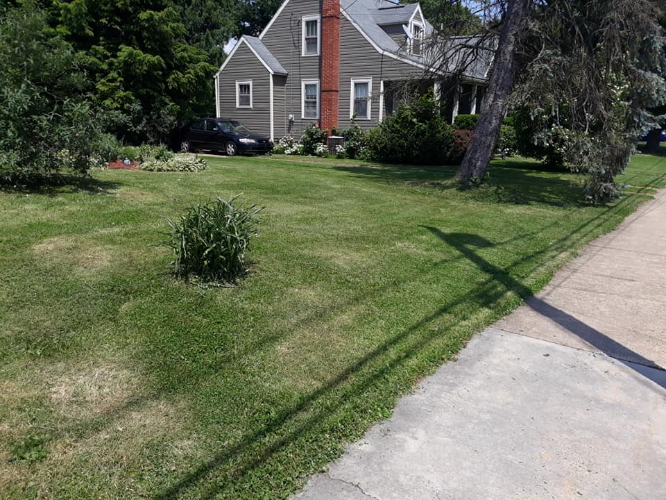 Clean Grass — Mount Holly Springs, PA — Rustyn Page Landscaping