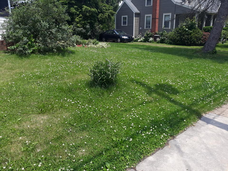 Landscape Sample Residential — Mount Holly Springs, PA — Rustyn Page Landscaping