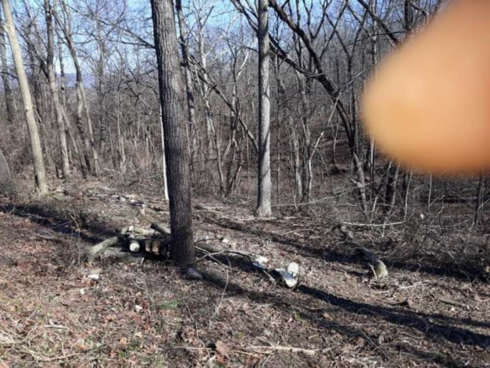 Died Trees To Cut — Mount Holly Springs, PA — Rustyn Page Landscaping