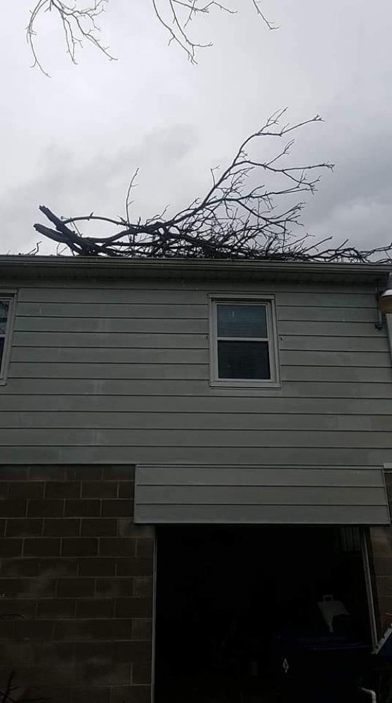 Trunks On House — Mount Holly Springs, PA — Rustyn Page Landscaping