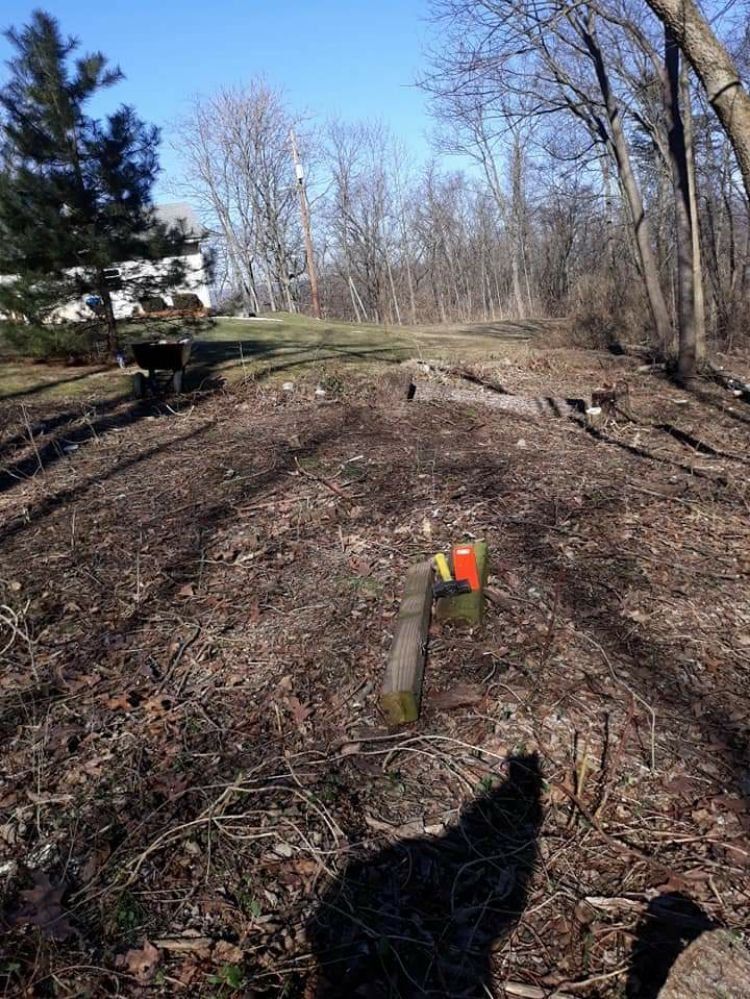 Landscaping Forest — Mount Holly Springs, PA — Rustyn Page Landscaping