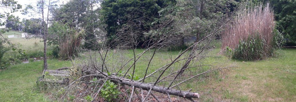 Broken Tree — Mount Holly Springs, PA — Rustyn Page Landscaping