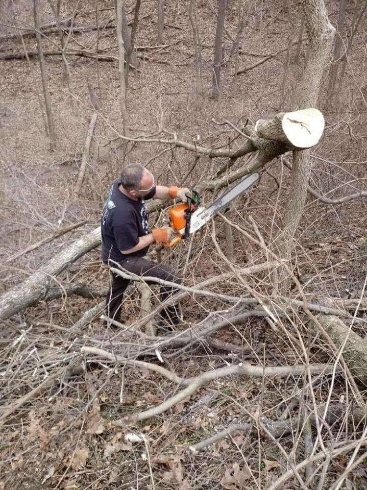 Logging Service — Mount Holly Springs, PA — Rustyn Page Landscaping