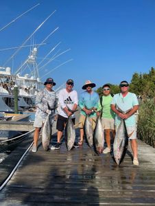 A group of men are standing on a dock holding large fish.