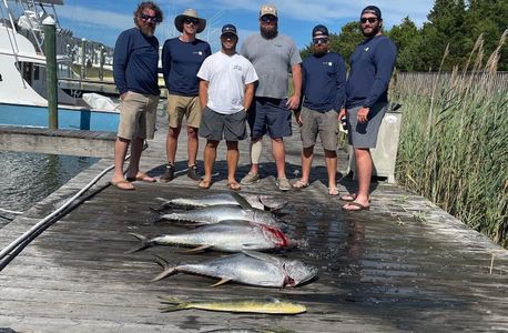 A group of men are standing next to a pile of fish on a dock.