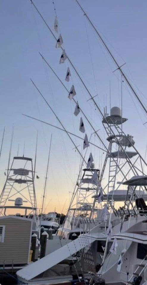 A bunch of boats are docked in a marina