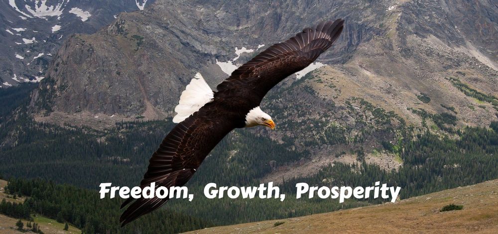 FREEDOM   GROWTH   PROSPERITY   