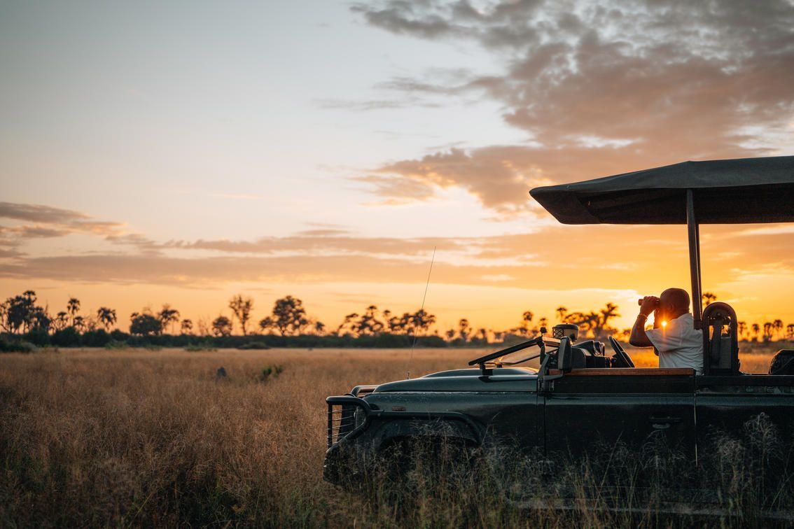 A person in a safari vehicle uses binoculars to view the golden savanna at sunset.