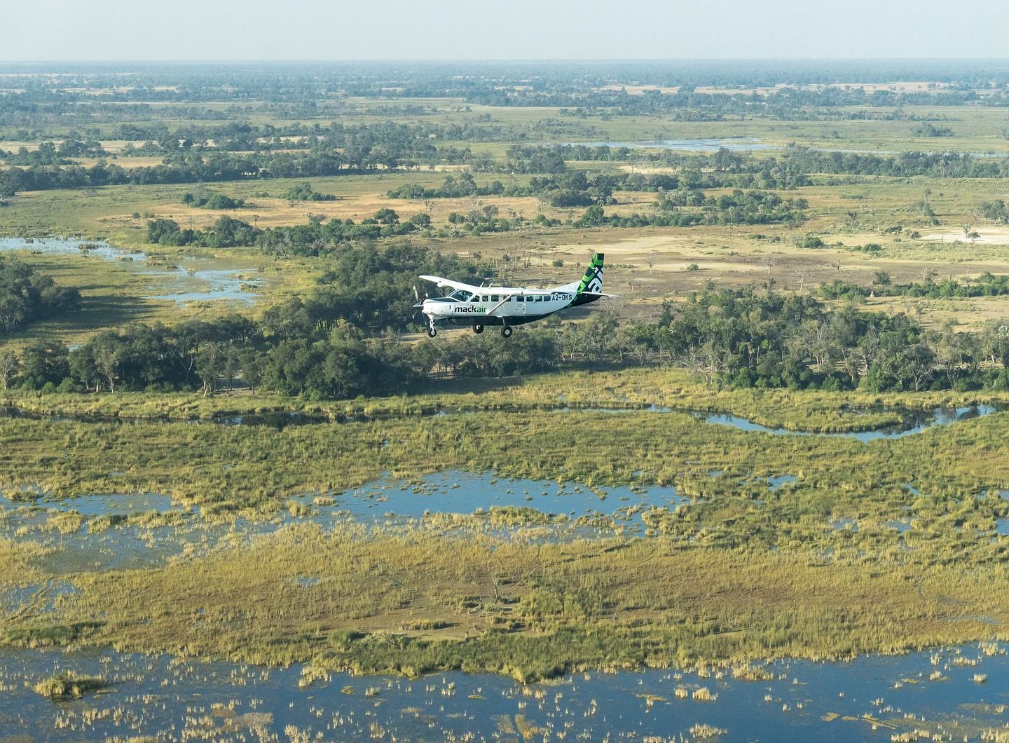 A small white and green airplane flies over a vast, green wetland area with scattered ponds and trees.