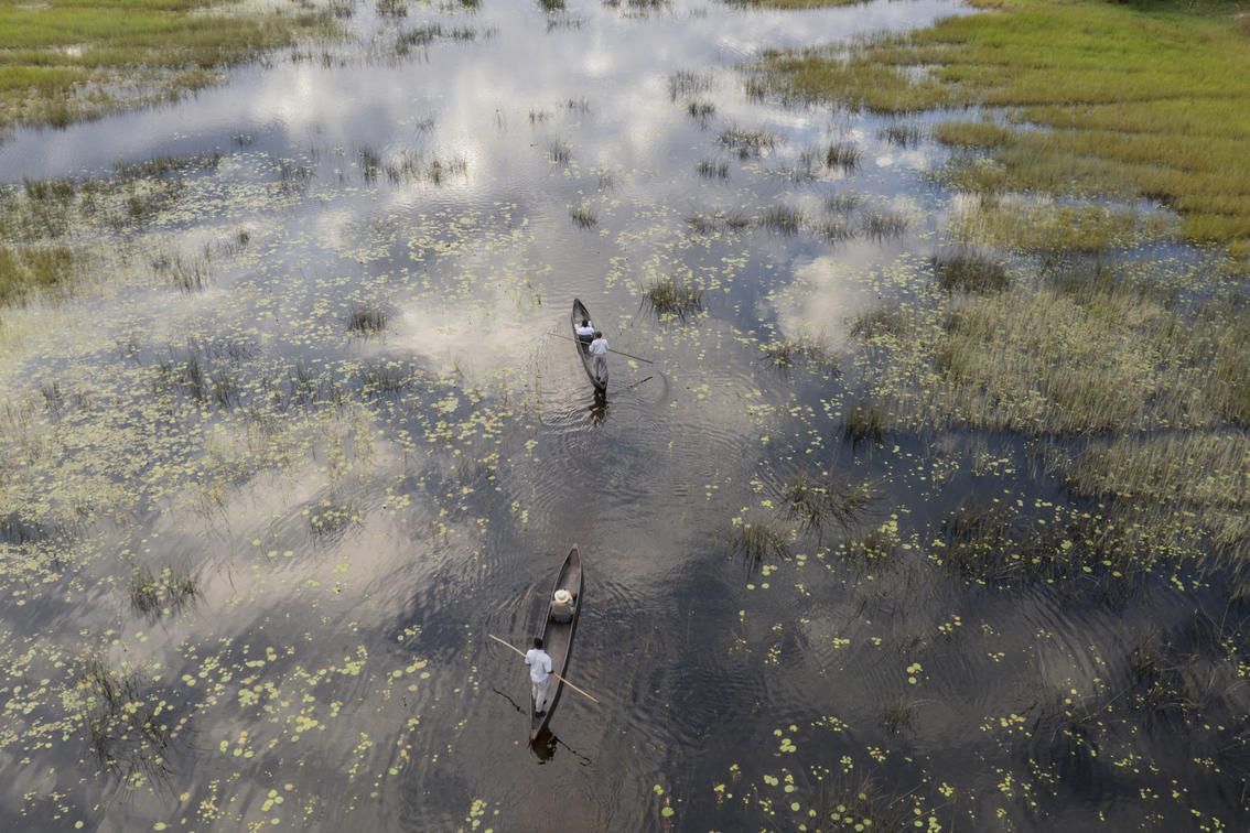 Two narrow wooden boats glide through a calm, grassy wetland, reflecting the bright sky in the dark, still water.