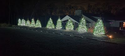 A row of christmas trees are lit up in front of a house at night.