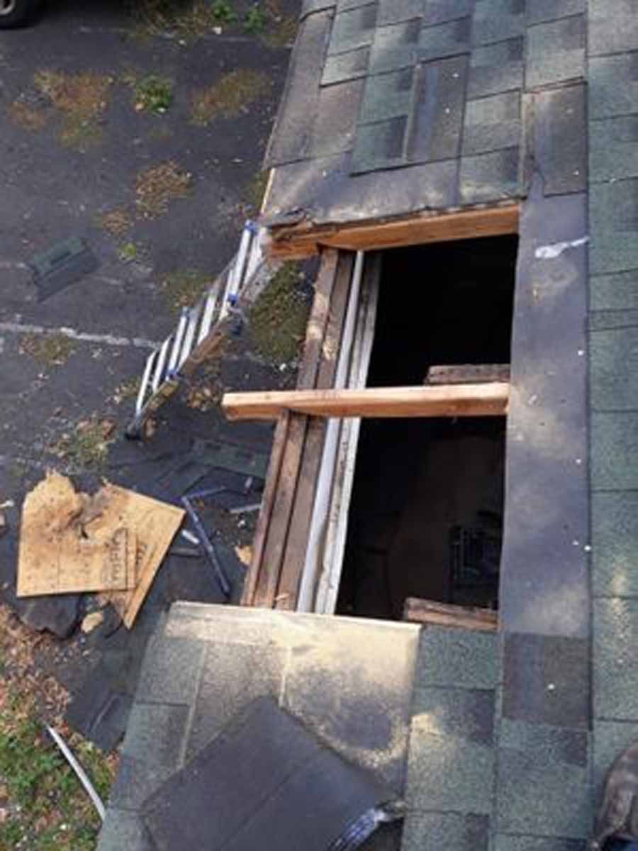 Roof repair: Hole in roof, wood beams, ladder, dark shingles, gray asphalt.