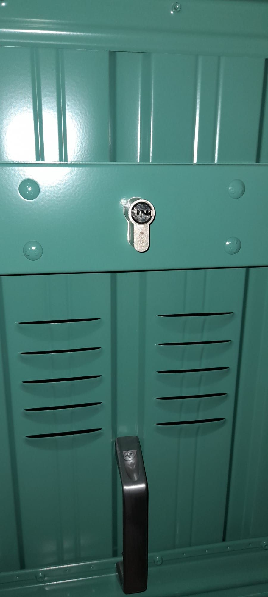 serratura basculante Automazioni Pippia Genova