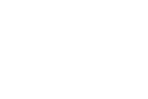 Fidelity Plumbing logo