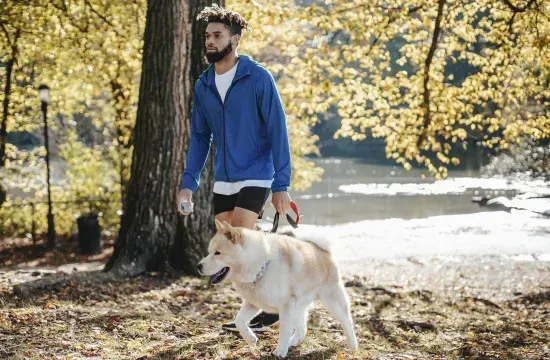 Man walking a dog on a leash in a park; sunny day, fall foliage.