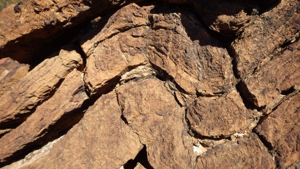 Flinders Ranges geological history tour