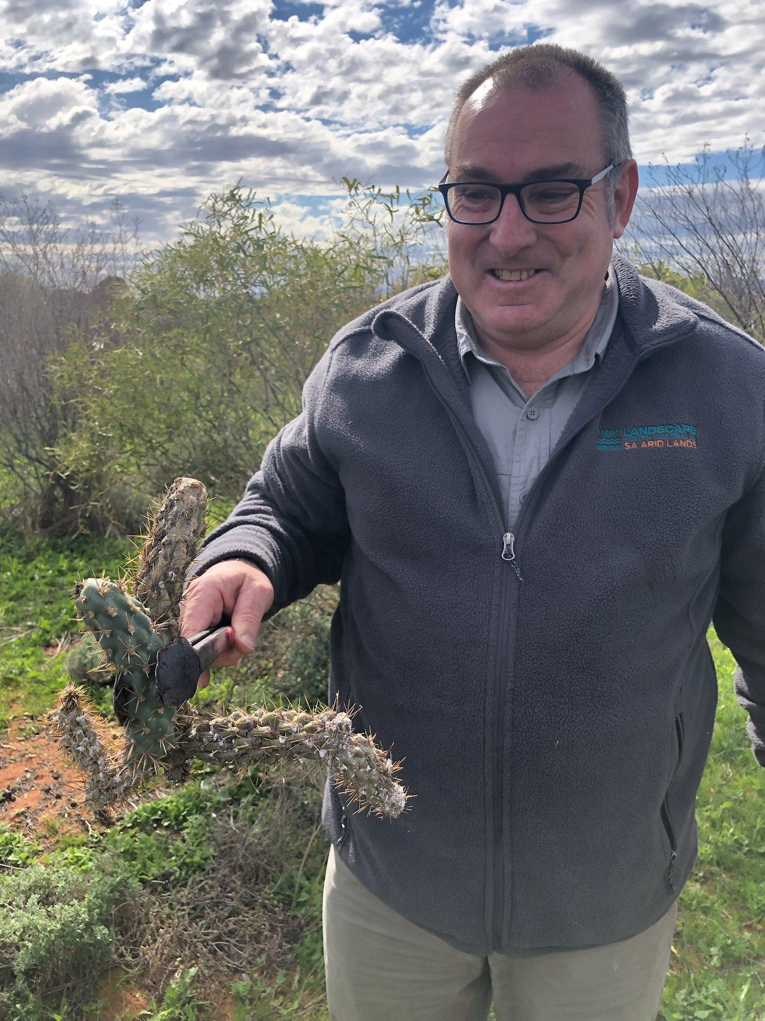 Conservation Arkaroola Wilderness Sanctuary Jumping Cholla