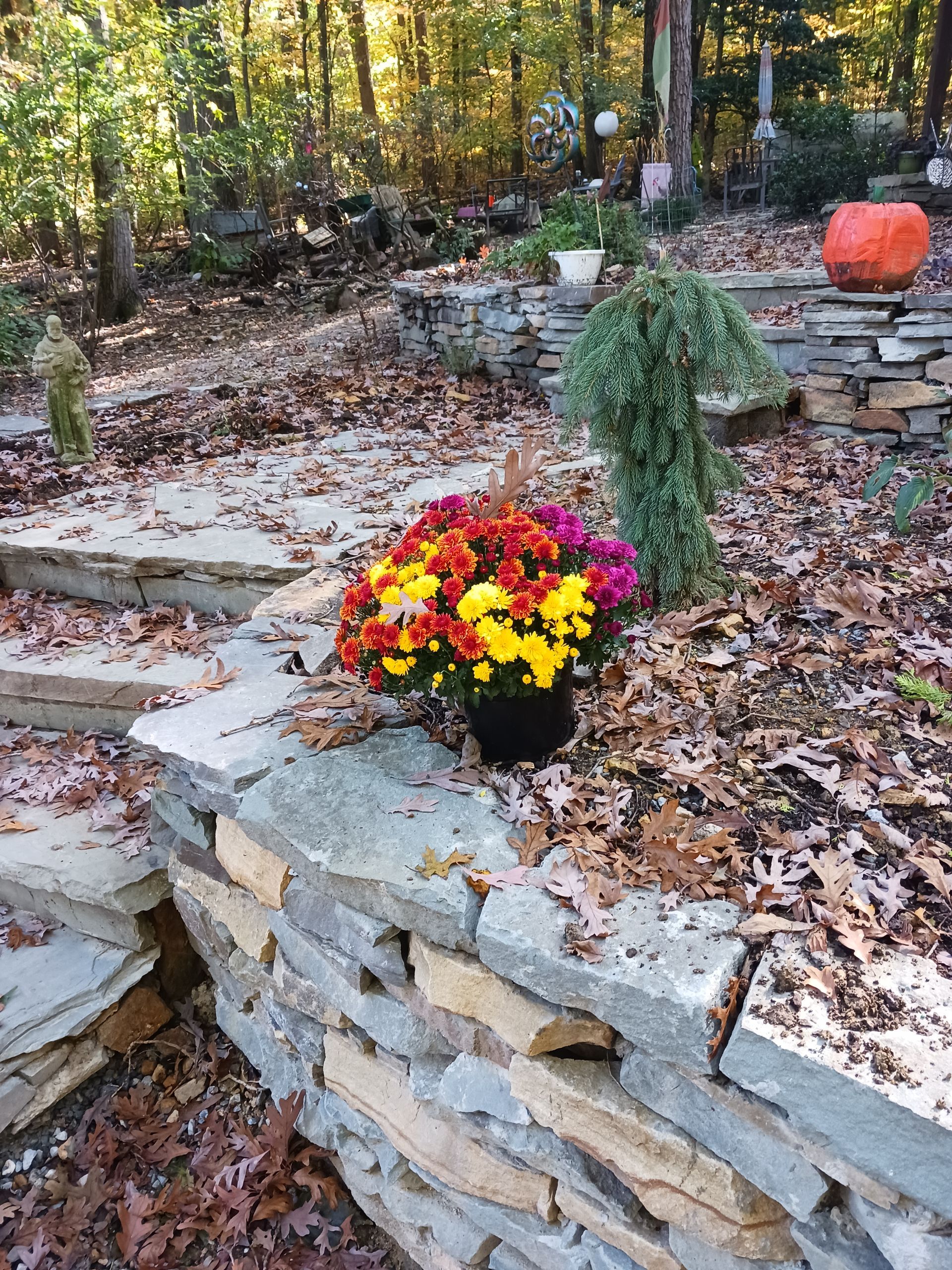 Flower On Pot — Lancaster, PA — Paradise Plants & Patios