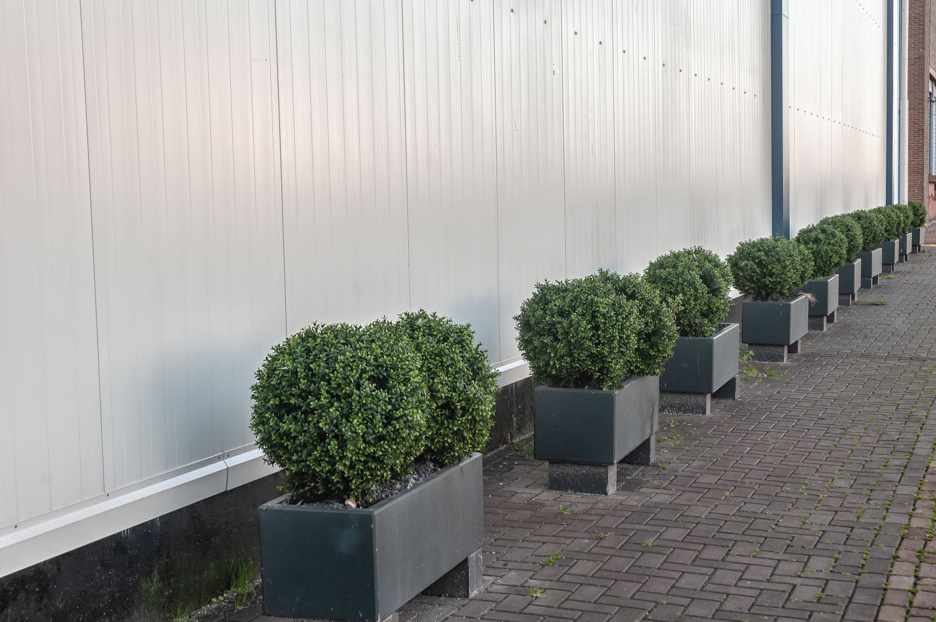 Beautiful Lawn — Lancaster, PA — Paradise Plants & Patios