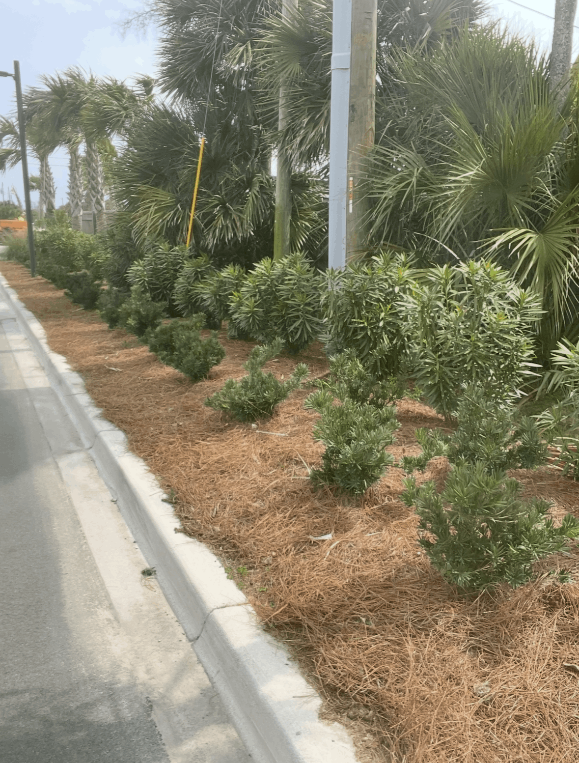 Lush green park scene with trimmed bushes, a paved walkway, and colorful trees in the background.