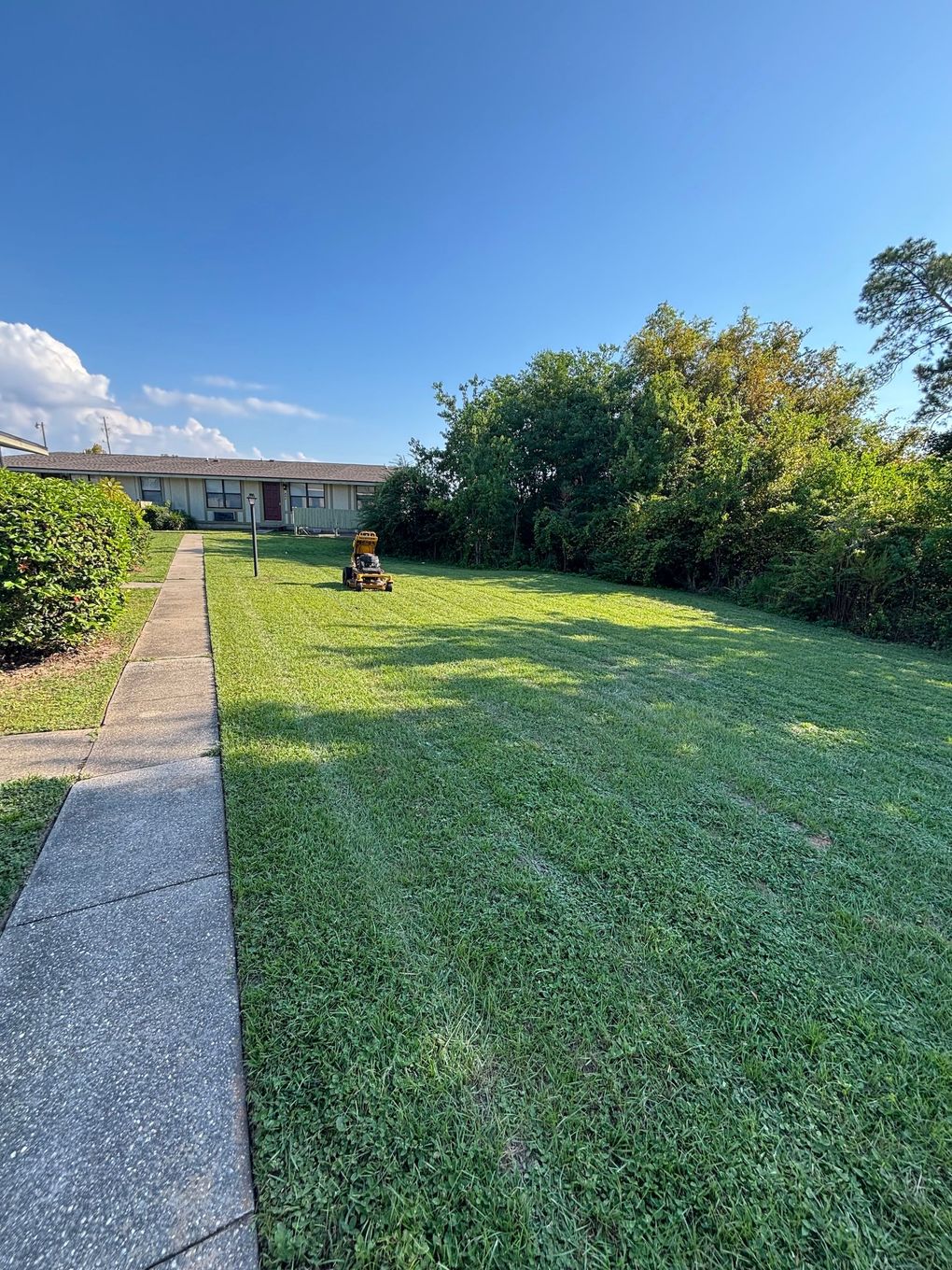 Lawn mower cutting green grass in a sunny yard, with person's leg visible.