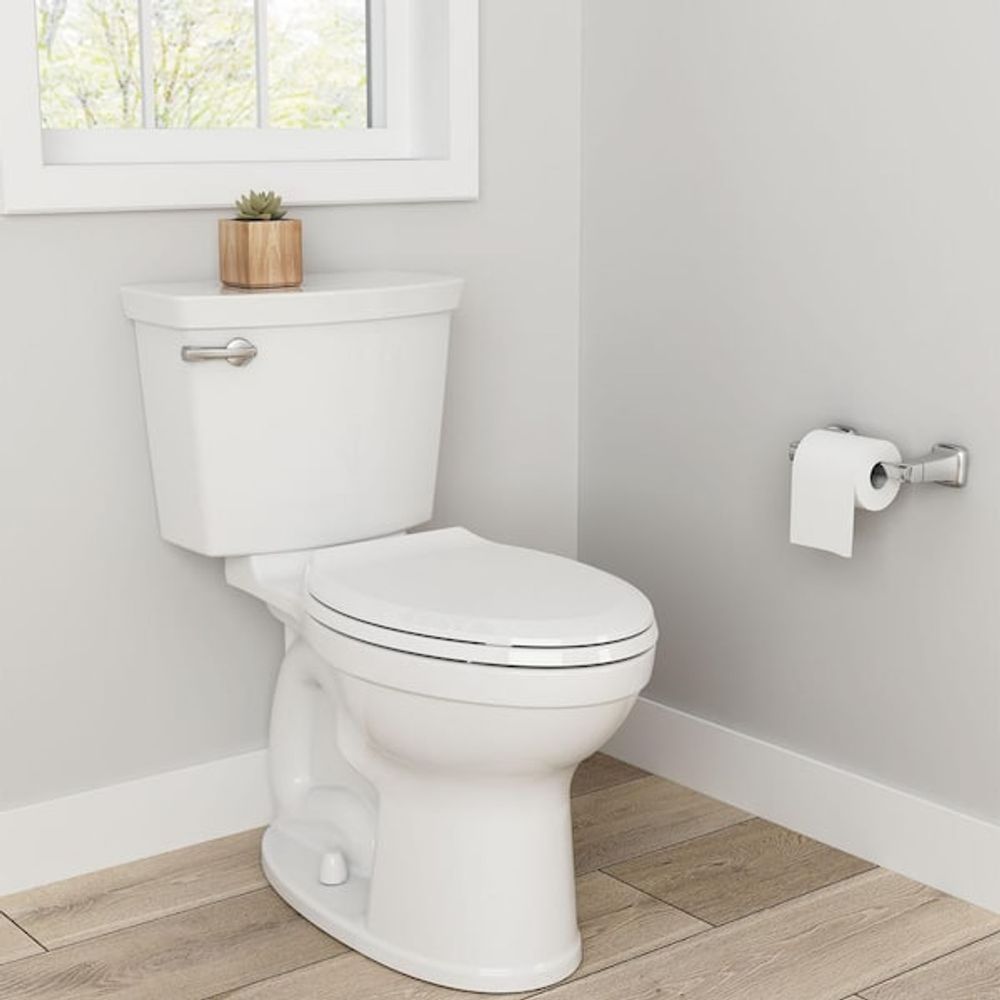 White toilet in a bathroom corner, with a roll of toilet paper and a small plant on the tank.