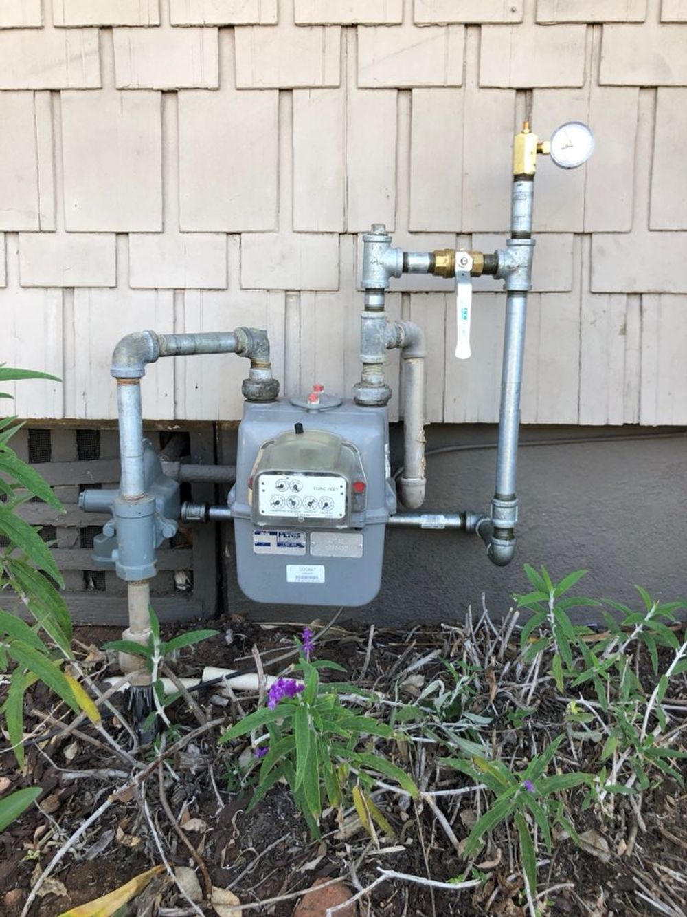 Gas meter on exterior wall, surrounded by pipes and small plants.