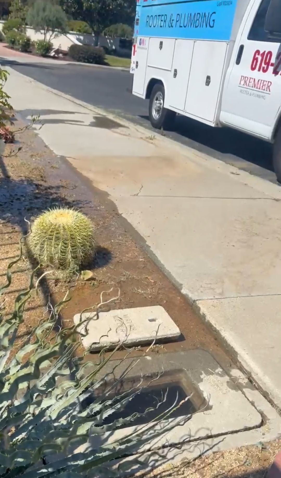 Sidewalk with overflowing water, a utility box, and a plumbing service truck parked nearby. A large cactus is visible.