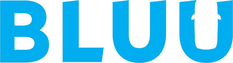 The word bluu is written in blue letters on a white background.