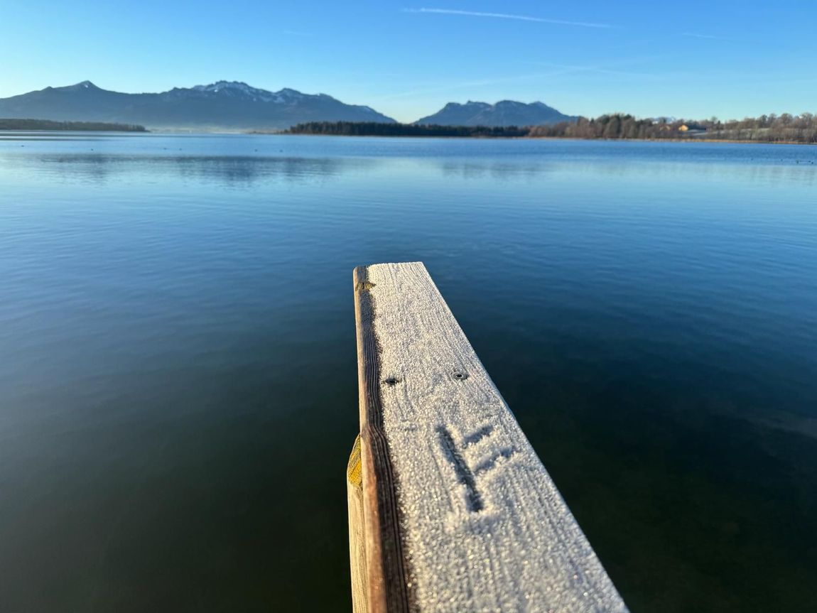 Lorenz Ass - Profil - Homepage