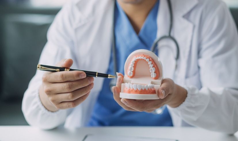 A dentist is holding a model of teeth and a pen.