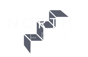 NORTH STEPPE REALTY LOGO