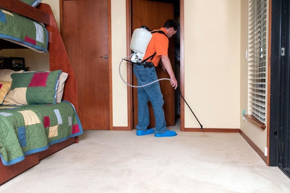 Un hombre está rociando una alfombra en un dormitorio con una mochila.