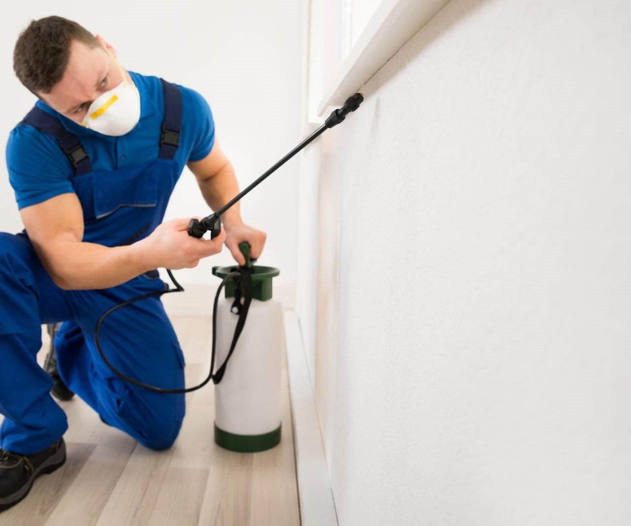 Un hombre que lleva una máscara está rociando una pared con un pulverizador.