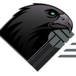 Black eagle head logo with a green eye and gray beak on a white background