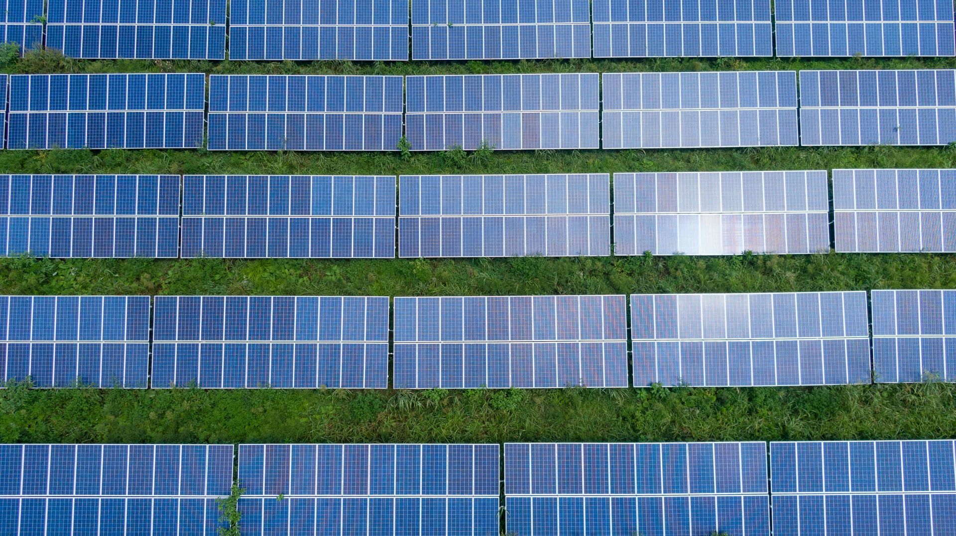 An array of solar panels on grassed covered piece of land