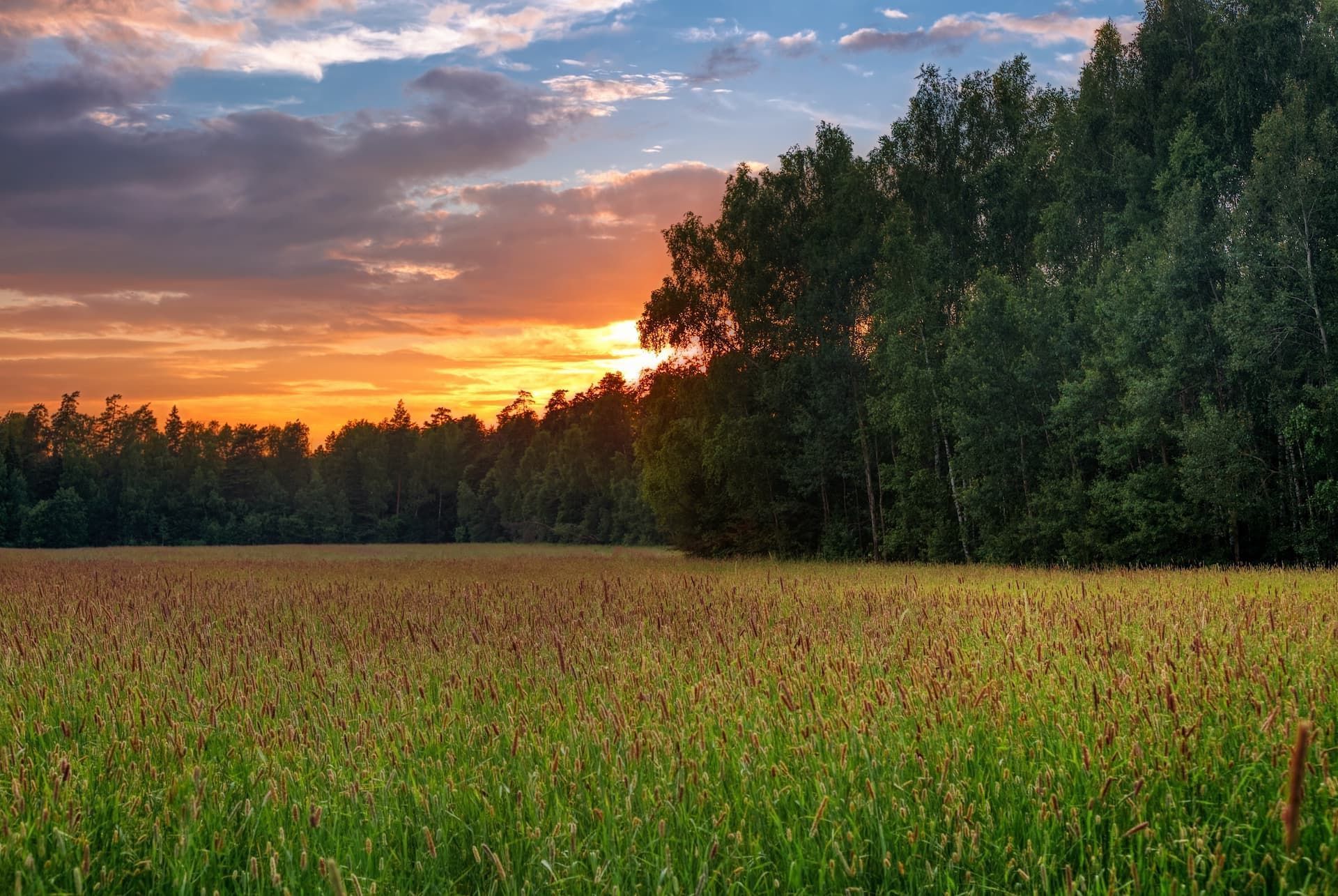 Compassion, Dignity & Respect