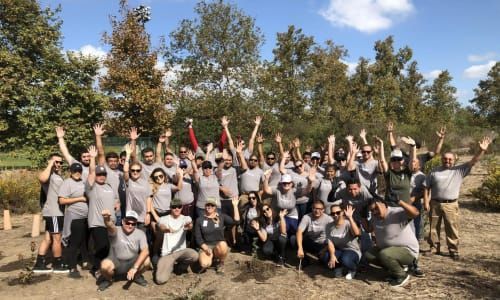 Group of people in gray shirts raising arms in a field with trees; sunny day.