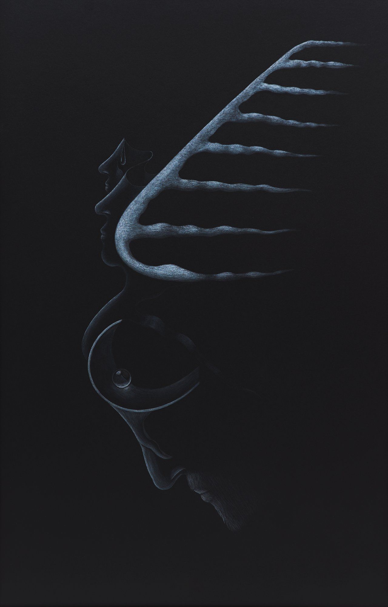 Image for Aspirations