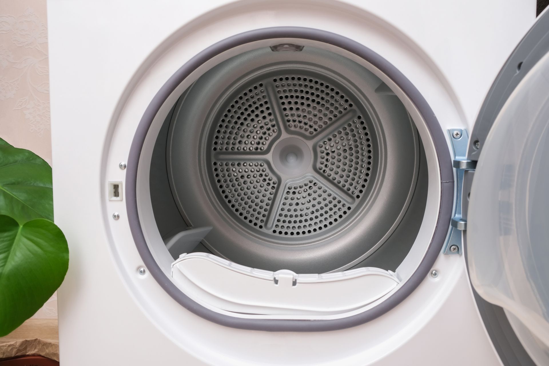 The inside of a washing machine with the door open and a plant in the background.