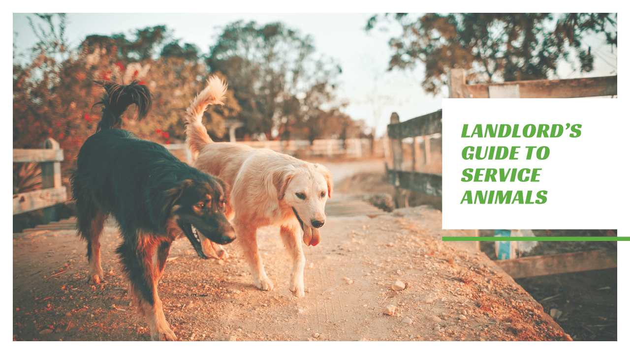 Service Animals: What All California City Landlords Need to Know - article banner