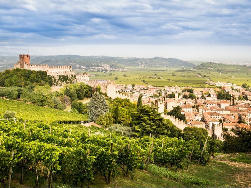 WEINFELS Blick auf das Städchen Soave