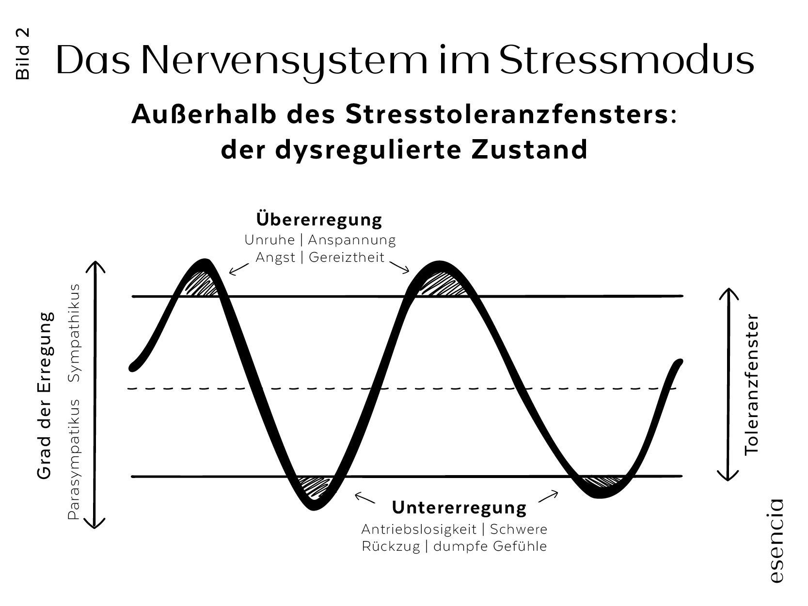 Das Nervensystem im Stressmodus, Unter-und Übererregung wird hier in einer Grafik gezeigt.