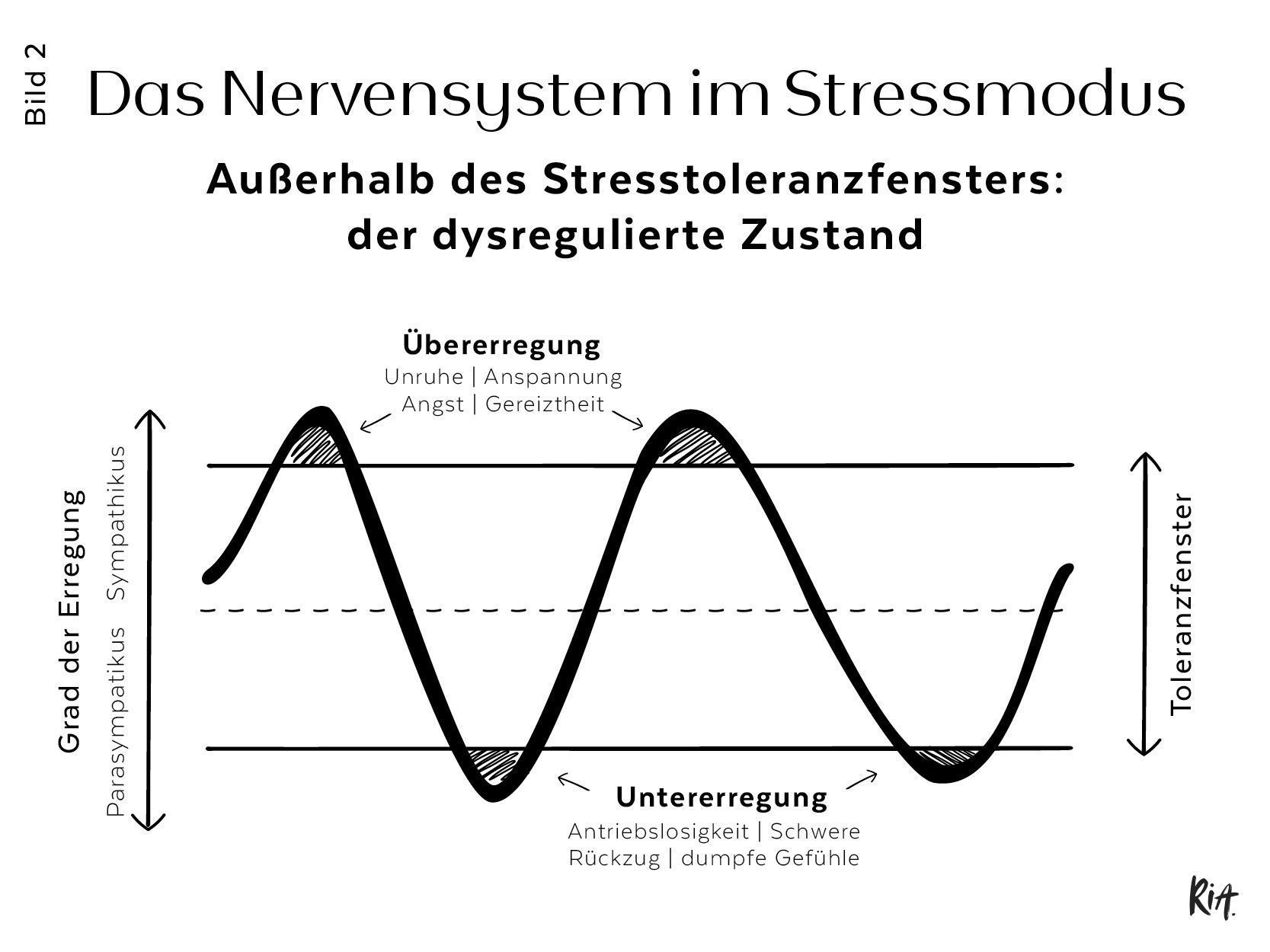 Das Nervensystem im Stressmodus, Unter-und Übererregung wird hier in einer Grafik gezeigt.