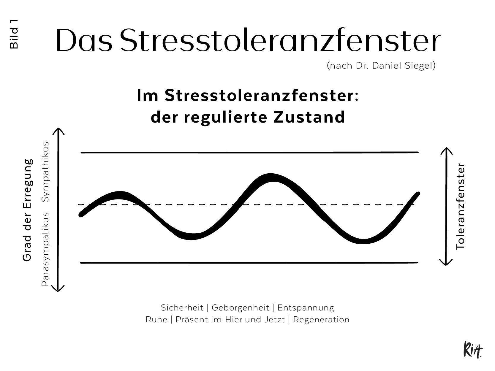 Das Stresstoleranzfenster nach Dr. Dan Siegel zeigt das regulierte Nervensystem in einer Grafik.