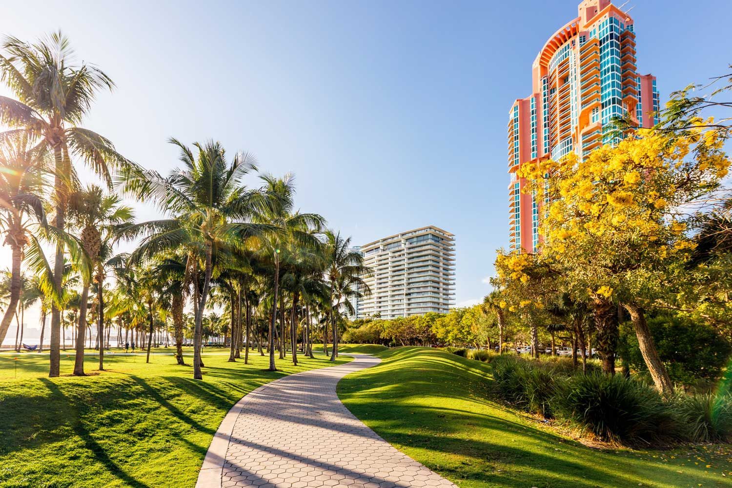 Park path lined with palm trees, leads towards beachfront buildings under a sunny sky.