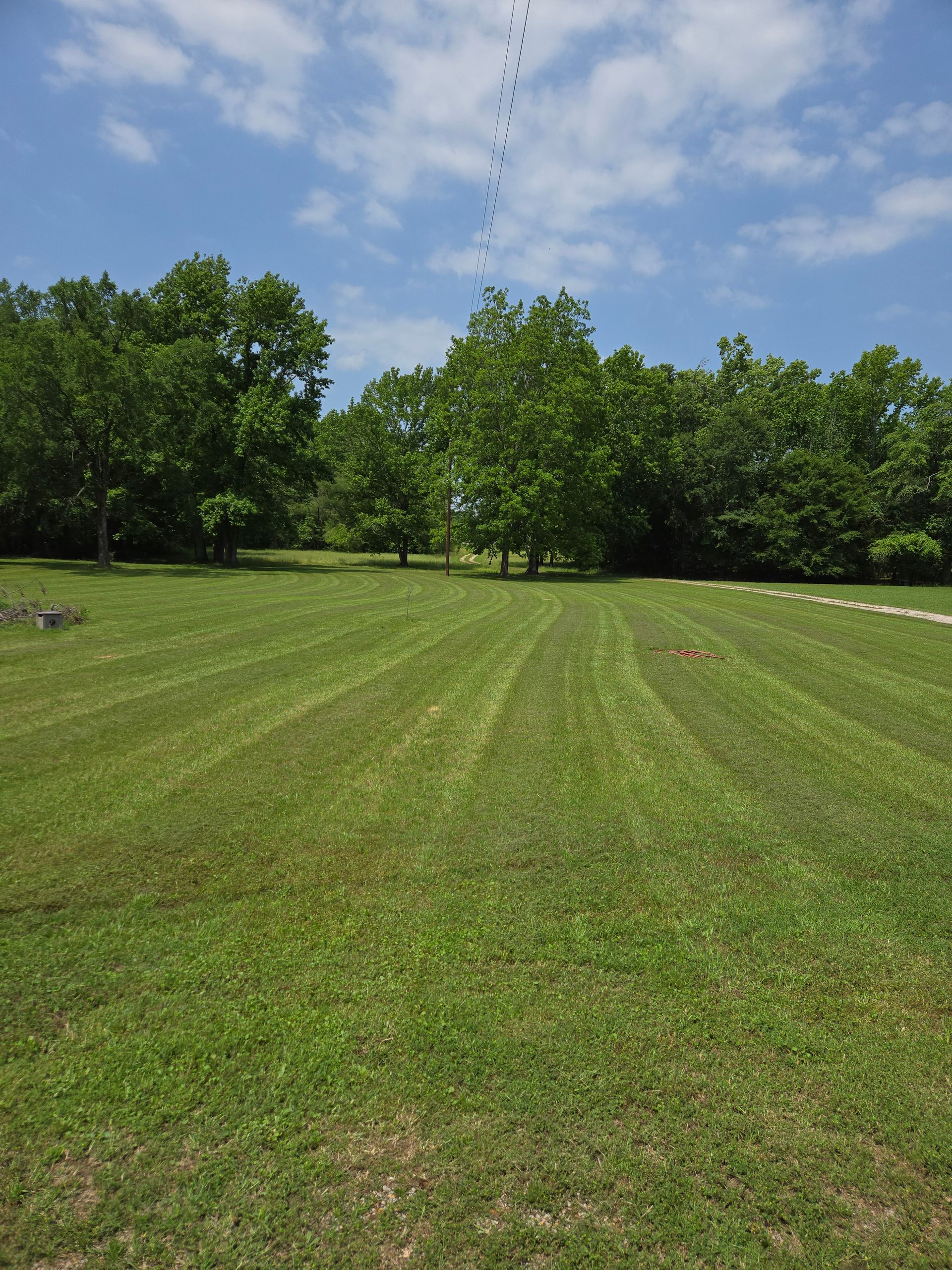 Rambo's Mowing, Ben Wheeler TX, Emory TX, Quitman TX, Mineola TX, Grand Saline TX, Edgewood TX, Terrell TX, Kaufman TX, Canton TX, Trinidad TX, Athens TX, Edom TX, Van TX, Chandler TX, Brownsboro TX, Tyler TX, Whitehouse TX, Lindale TX, Murchison TX, Myrtle Springs TX, Lawn Mowing Service Near Me, Lawn Mowing Company Near Me, Residential Mowing Company, Commercial Mowing Company, Ben Wheeler Mowing Company, Emory Mowing Company, Quitman Mowing Company, Mineola Mowing Company, Grand Saline Mowing Company, Edgewood Mowing Company, Terrell Mowing Company, Kaufman Mowing Company, Canton Mowing Company, Trinidad Mowing Company, Athens Mowing Company, Edom Mowing Company, Van Mowing Company, Chandler Mowing Company, Brownsboro Mowing Company, Tyler Mowing Company, Whitehouse Mowing Company, Lindale Mowing Company, Murchison Mowing Company, Myrtle Springs Mowing Company, Mowing, Mowing Acres, Mowing Land Lots, Weed Eating, Weed Eating Company Near Me, Fall Clean Up, Fall Clean Up Service Near Me, Yard Clean Up, Yard Clean Up Service Near Me, Ben Wheeler Yard Clean Up, Emory Yard Clean Up, Quitman Yard Clean Up, Mineola Yard Clean Up, Grand Saline Yard Clean Up, Edgewood Yard Clean Up, Terrell Yard Clean Up, Kaufman Yard Clean Up, Canton Yard Clean Up, Trinidad Yard Clean Up, Athens Yard Clean Up, Edom Yard Clean Up, Van Yard Clean Up, Chandler Yard Clean Up, Brownsboro Yard Clean Up, Tyler Yard Clean Up, Whitehouse Yard Clean Up, Lindale Yard Clean Up, Murchison Yard Clean Up, Myrtle Springs Yard Clean Up, Wood Cutting, Light Hauling, Haul Wood, Tree Trimming, Residential Tree Trimming, Commercial Tree Trimming, Lawn Care Service Near Me
